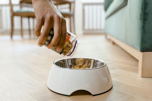Treats for Pets